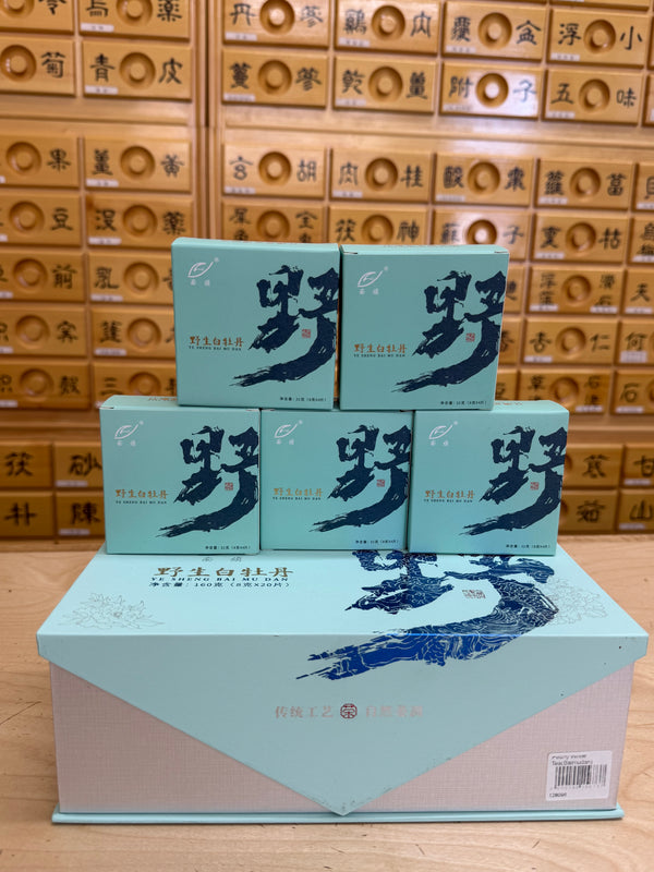 Premium White Tea / 백차